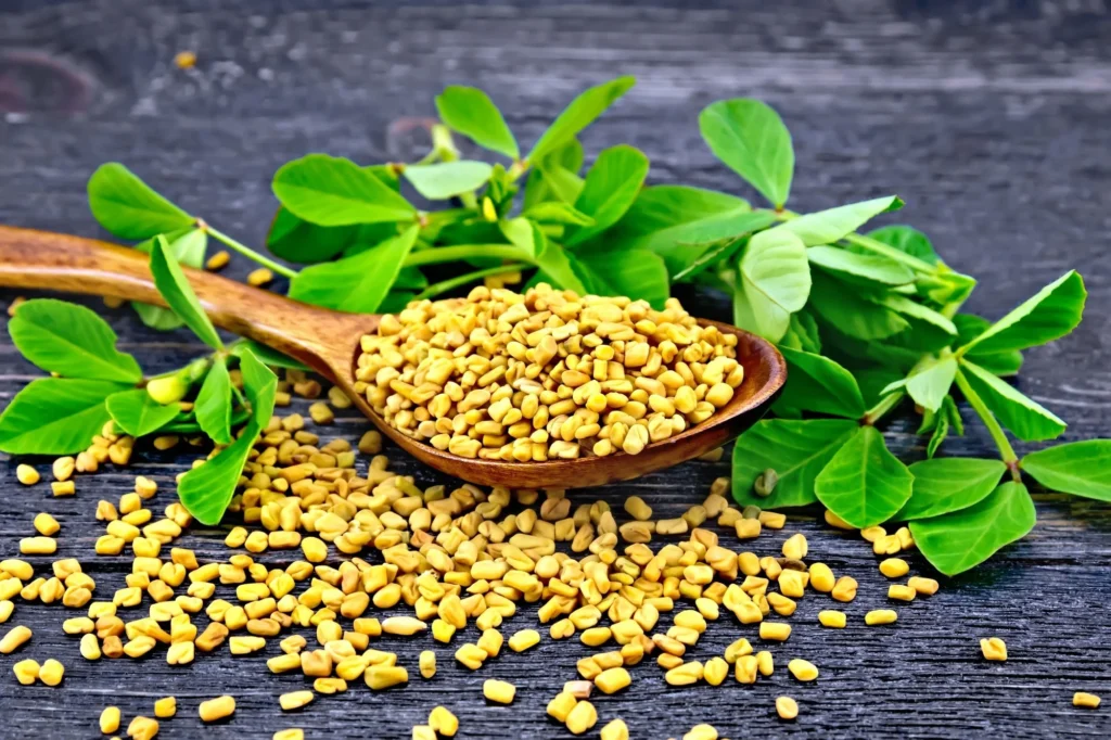 Nutritional Value of Fenugreek