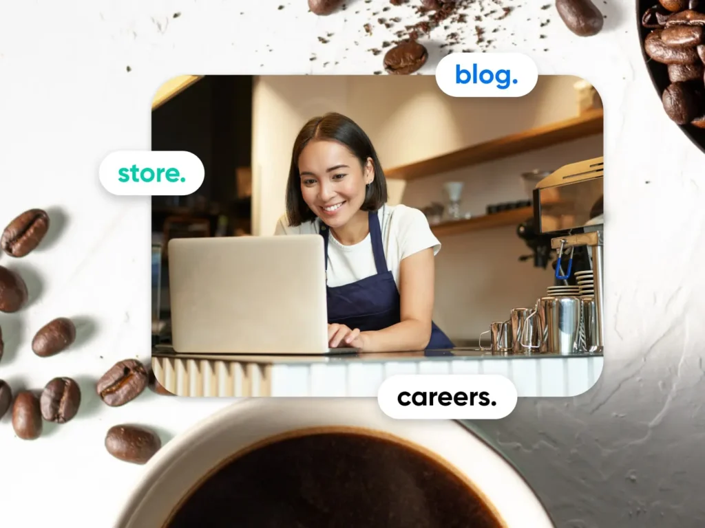 What is a Career Subdomain