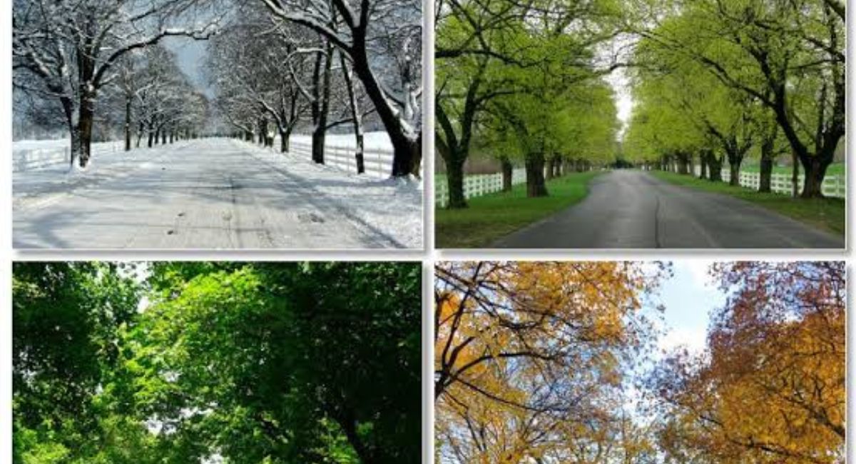 A grammar guide explaining when to capitalize seasons like spring, summer, fall, and winter with examples and writing tips.