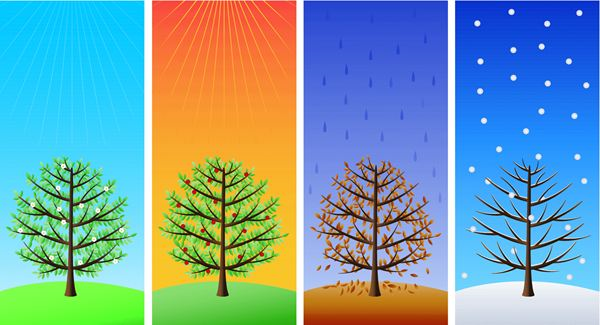Why Are Seasons Different From Months and Days?