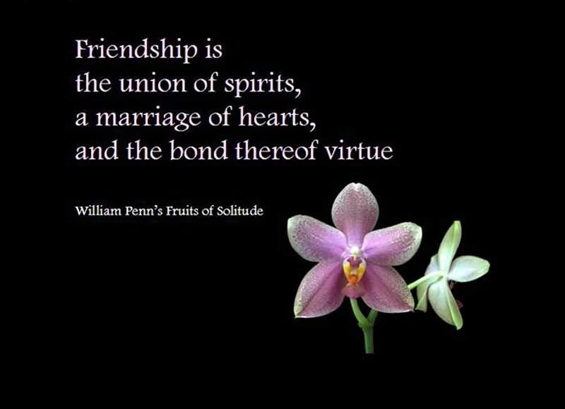 Meaning in Friendship